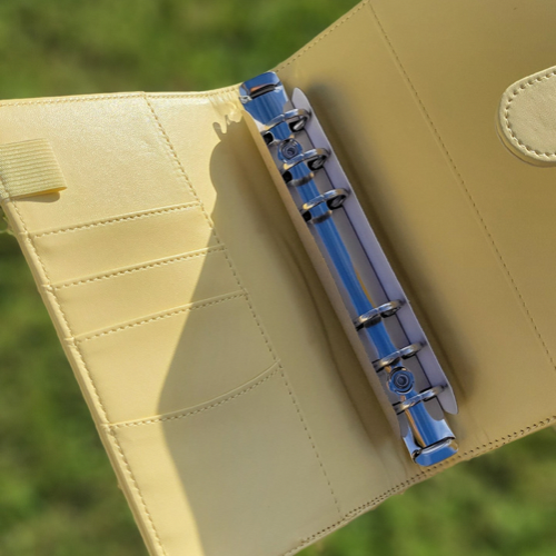 Budget Binder & Things